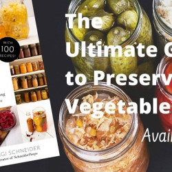 Preserving Vegetables The Ultimate Guide by Angi Schneider