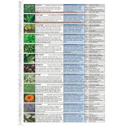 Microgreens Growing Guide - Fold Out Chart