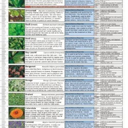 Microgreens Growing Guide - Fold Out Chart
