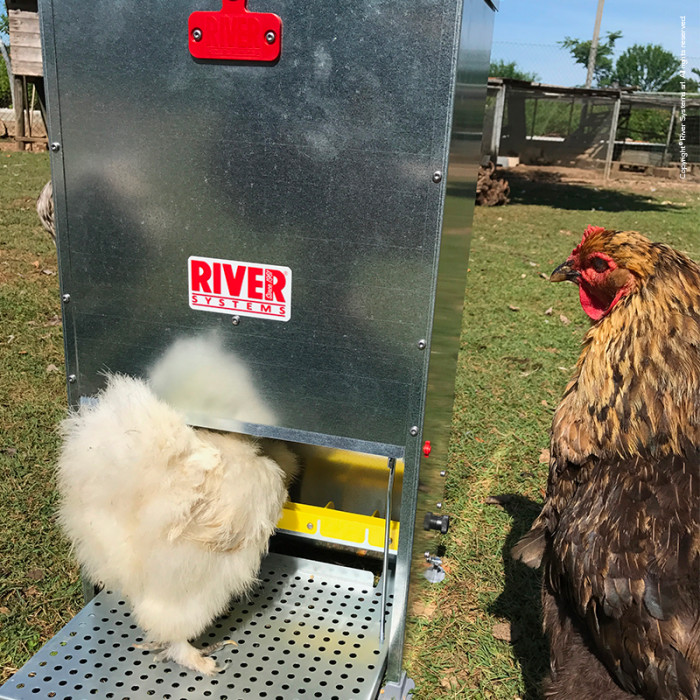 Supreme Poultry Treadle Feeder 12kg