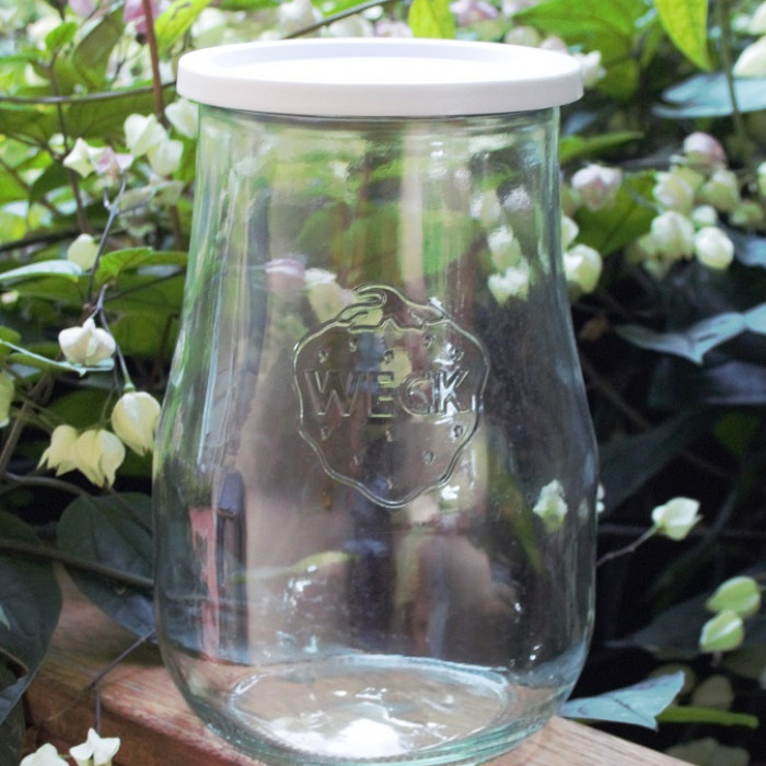 1 x 2.5 litre Tulip Jar  with WHITE STORAGE LID