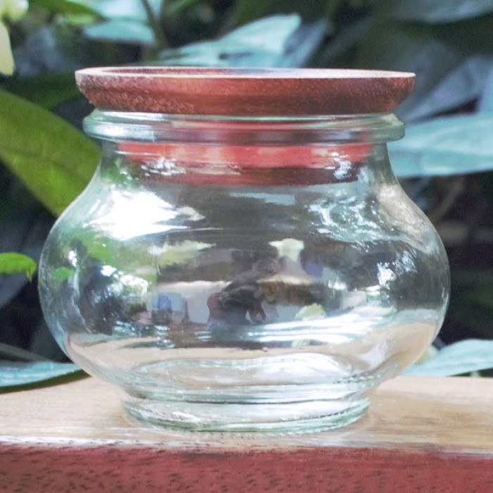1 x 220ml Deco Jar with wooden lid