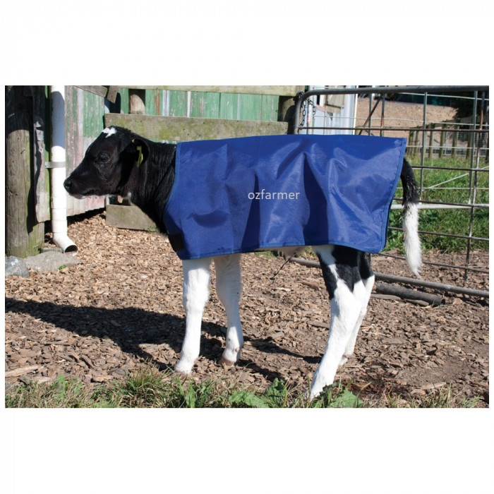 Calf Coat / Cover Polyester 73cm / 40kg