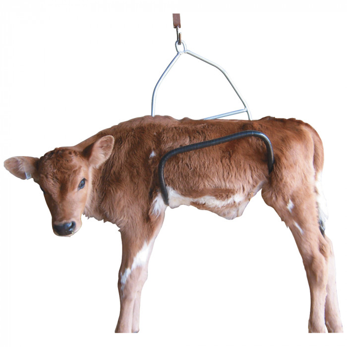 Calf Weighing Cradle 