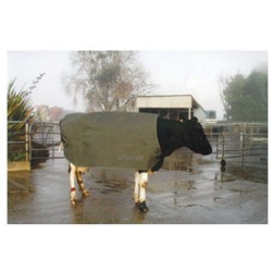 Thermal Emergency Cow Cover