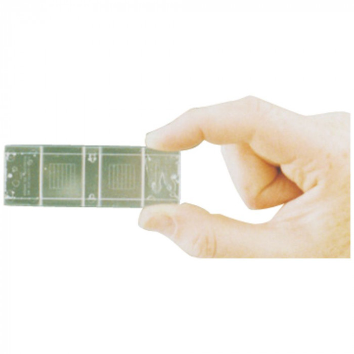 Microscope Slide McMaster suitable for DIY Faecal Egg Counts Plain Grid