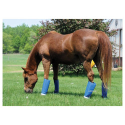 Shoofly Horse Legging Set Blue (Mini) Set of 4