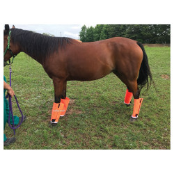Shoofly Horse Legging Set Orange (Mini) Set of 4