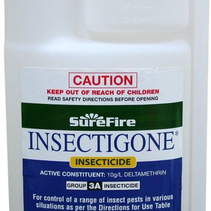 Surefire Insectigone Residual Insect Spray 250ml