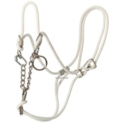 Hackamore Halter - White for Cow