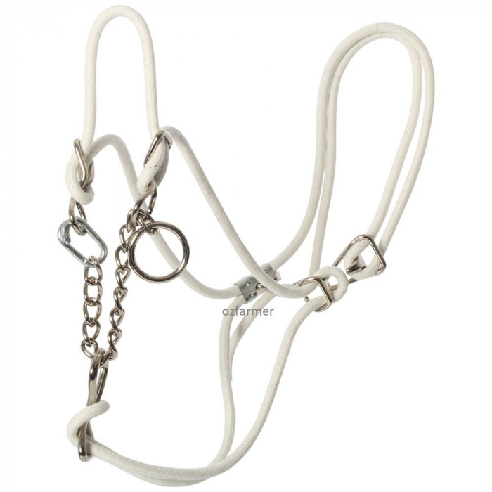 Hackamore Halter - White for Yearling