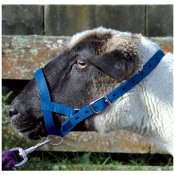 Goat Halter or Lead or Tie Made USA Halter All S M L XL 23 colors Sheep Figure 8 