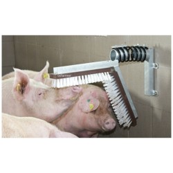 Pig/Calf Scratching Brush 