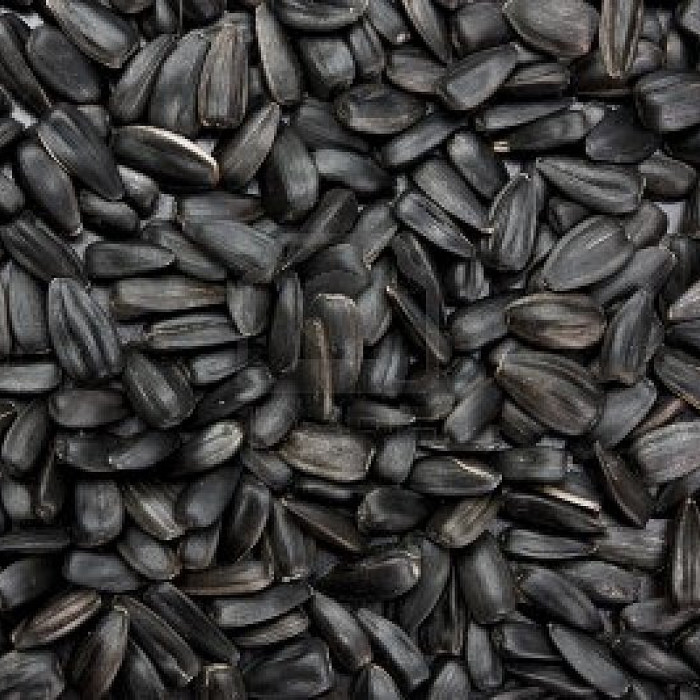 Black Sunflower Seed suitable for poultry and bird feed