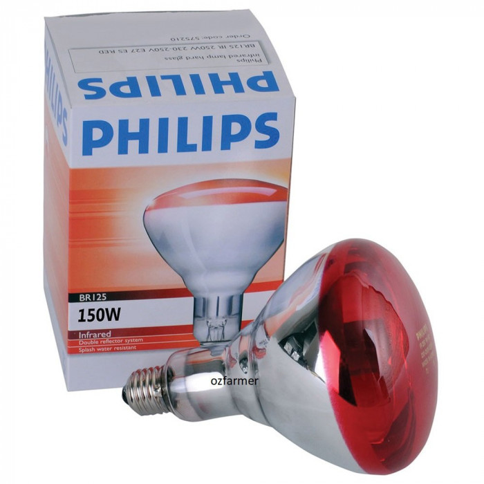 Phillips Red Infrared Brooder Lamp Globe Only 150W