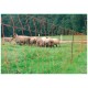 Ovinet Electric Sheep / Goat / Horse / Calf Netting 50m x 108cm