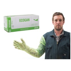 Gloves Exam Ecogan (green) 100-pk          