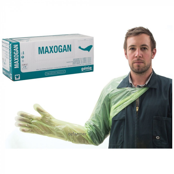 Gloves Exam Maxogan Protector Shoulder 50pk