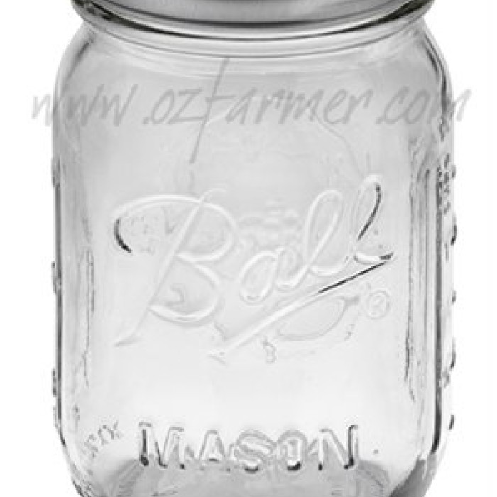 12  x Pint REGULAR Mouth Jar and Lid Ball Mason Case 