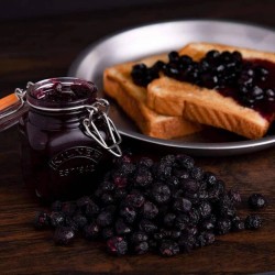 Freeze-Dried Blueberries Up to 25 Year Shelf Life Emergency Food