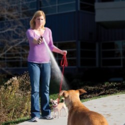 Petsafe Spray Shield Citronella Dog Deterrent Spray