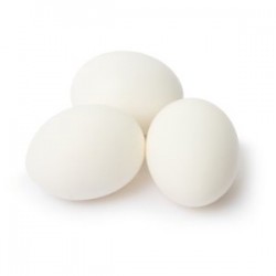 10 x Plastic Fake Brooder Eggs Small / Bantam / Quail size