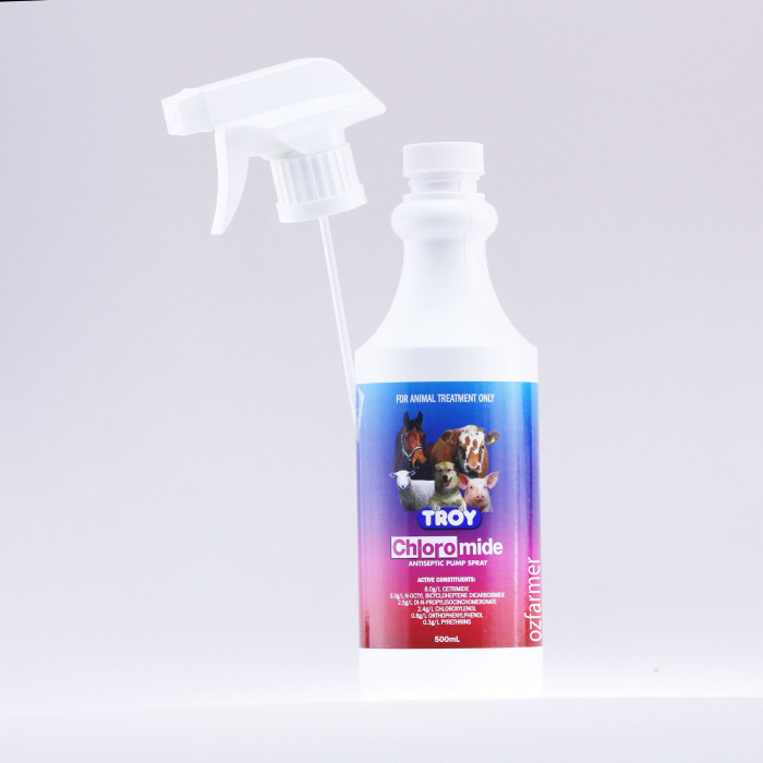 Antiseptic Spray Chloromide 500ml Pump Complete