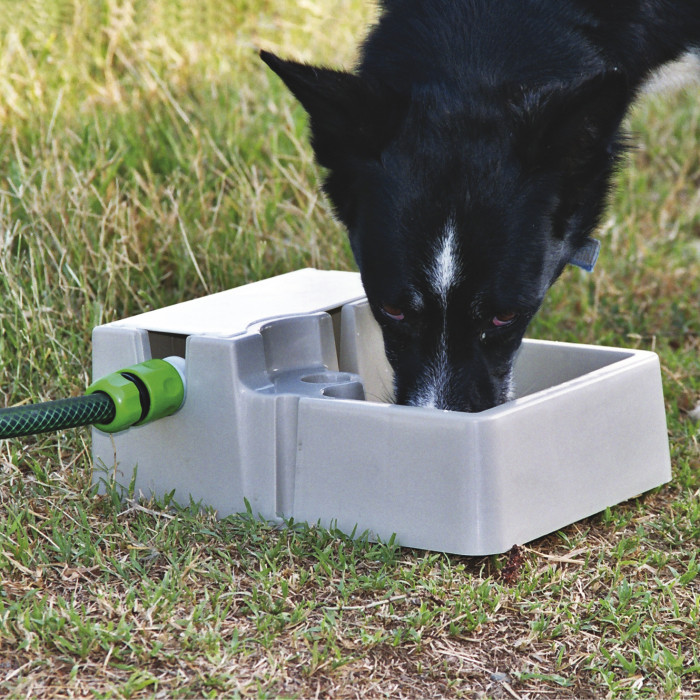 Automatic Pet Waterer Optional Hose Fitting Only 