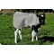 Large Calf Cover Woolover Coat Keep Calves Warm in Winter