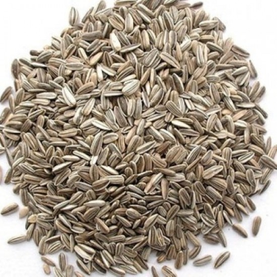 Grey Stripe Sunflower Seed suitable for poultry and bird feed