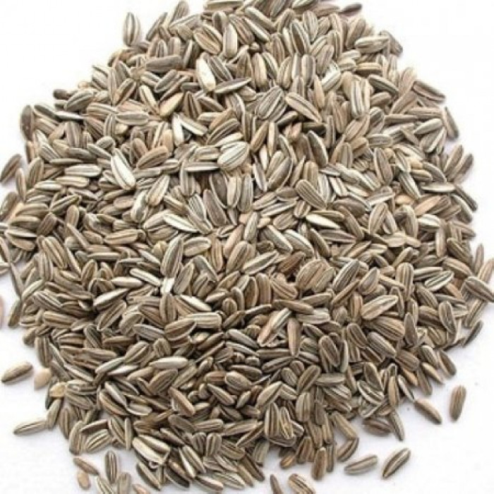 Grey Stripe Sunflower Seed suitable for poultry and bird feed