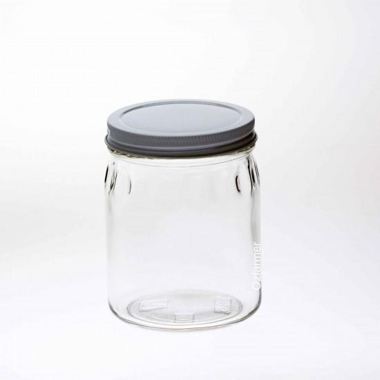 Case of 12 x Bell 700ml /  24 oz Thumbprint Jars with Lids