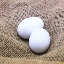 Plastic Fake Brooder Eggs Large / Chicken Size (Pair)