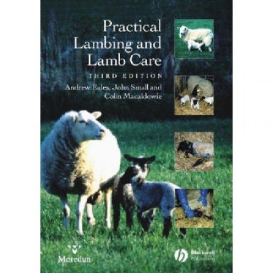 Practical Lambing and Lamb Care: A Veterinary Guide 3rd edition.