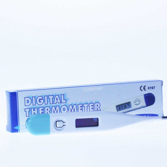 Small animal digital thermometer