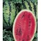 Watermelon Warpaint Seed Packet Organically Certified 