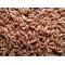 Wheat Seed Sprouting Seed Bulk Quantities Organically Certified