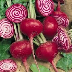 Beetroot Chioggia / Candy Stripe Seed Packet Organically Certified