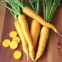 Carrot Solar Yellow Seed Packet