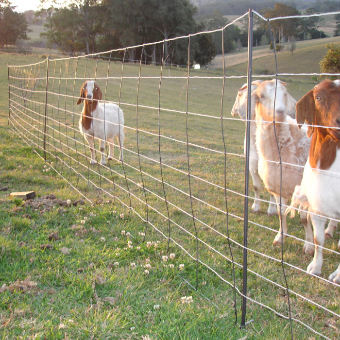 Netting Electric Fence Kit with Solar Energiser Goats / Sheep/ Calves